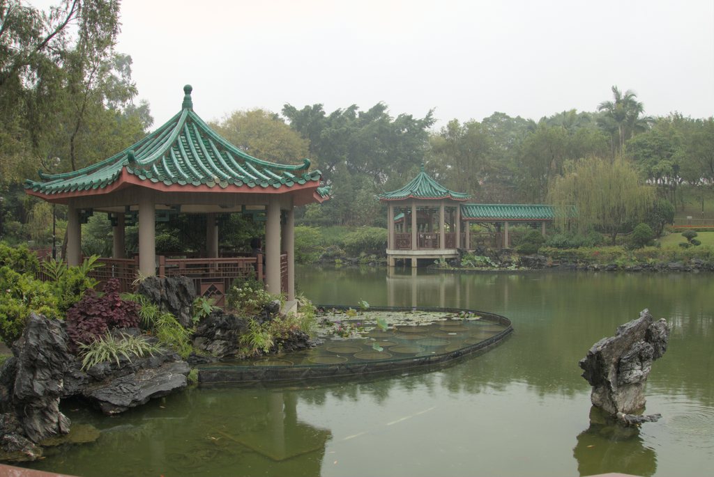 Pavillons chinois aux toits de tuiles vertes se reflétant dans un bassin de nénuphars, rocaille et arbres dans la brume — raw file
